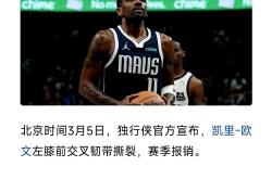 爱游戏官方网站 - 巴西球队有五星巴西之称 